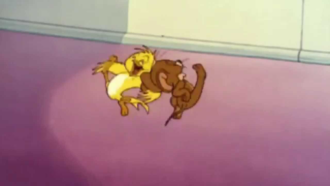 tom and jerry watch cartoon online